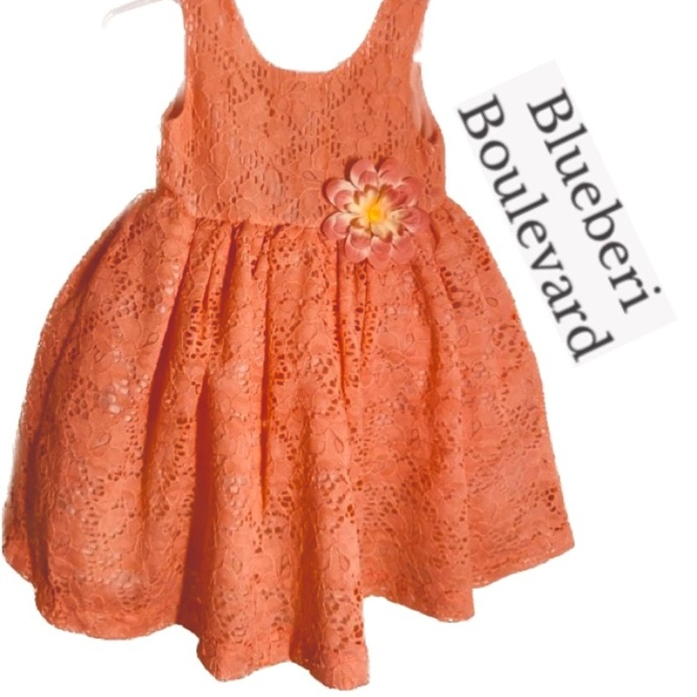 Blueberi Boulevard Coral Special Occasion Dress Size 12 Month Lace Flower Accent